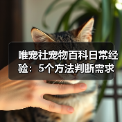 唯宠社宠物百科日常经验:5个方法判断需求与维护(图1) 唯宠社宠物百科日常经验:5个方法判断需求与维护(图1)