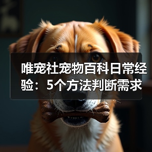 唯宠社宠物百科日常经验：5个方法判断需求与维护