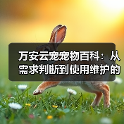 万安云宠宠物百科：从需求判断到使用维护的日常经验（图3）