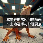 宠物养护常见问题指南:主粮选择与护理要点(图4) 宠物养护常见问题指南:主粮选择与护理要点(图4)