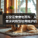 万安云宠宠物百科：从需求判断到使用维护的日常经验