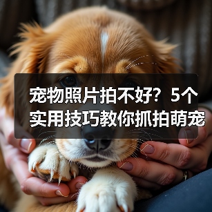 宠物照片拍不好?5个实用技巧教你抓拍萌宠日常(图1) 宠物照片拍不好?5个实用技巧教你抓拍萌宠日常(图1)
