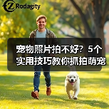 宠物照片拍不好？5个实用技巧教你抓拍萌宠日常