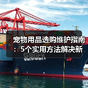 宠物用品选购维护指南：5个实用方法解决新手养宠难题