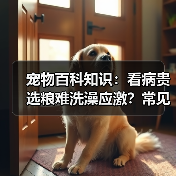 宠物百科知识:看病贵选粮难洗澡应激?常见场景选择要点与注意事项(图2) 宠物百科知识:看病贵选粮难洗澡应激?常见场景选择要点与注意事项(图2)