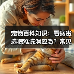 宠物百科知识：看病贵选粮难洗澡应激？常见场景选择要点与注意事项