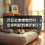 万安云宠宠物百科：从需求判断到维护的5个实用方法