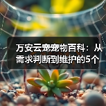 万安云宠宠物百科:从需求判断到维护的5个实用方法(图1) 万安云宠宠物百科:从需求判断到维护的5个实用方法(图1)