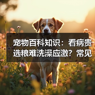 宠物百科知识:看病贵选粮难洗澡应激?常见场景选择要点与注意事项(图4) 宠物百科知识:看病贵选粮难洗澡应激?常见场景选择要点与注意事项(图4)