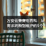 万安云宠宠物百科:从需求判断到维护的5个实用方法(图4) 万安云宠宠物百科:从需求判断到维护的5个实用方法(图4)