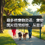 趣多格宠物资讯：宠物图片日常经验，从需求判断到使用维护指南（图1）