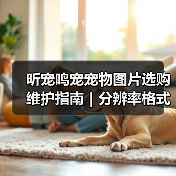 昕宠鸣宠宠物图片选购维护指南｜分辨率格式常见问题解析（图2）