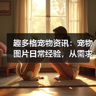 趣多格宠物资讯：宠物图片日常经验，从需求判断到使用维护指南（图3）