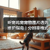 昕宠鸣宠宠物图片选购维护指南｜分辨率格式常见问题解析（图3）