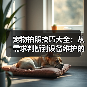宠物拍照技巧大全：从需求判断到设备维护的实用指南（图3）