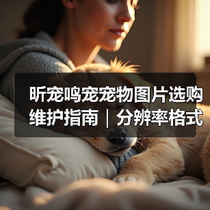 昕宠鸣宠宠物图片选购维护指南｜分辨率格式常见问题解析