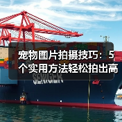 宠物图片拍摄技巧：5个实用方法轻松拍出高颜值照片（图1）