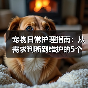 宠物日常护理指南：从需求判断到维护的5个关键方法（图2）