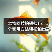 宠物图片拍摄技巧：5个实用方法轻松拍出高颜值照片（图4）
