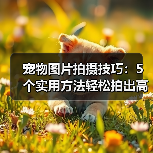 宠物图片拍摄技巧：5个实用方法轻松拍出高颜值照片（图3）