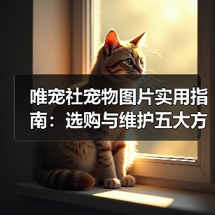 唯宠社宠物图片实用指南：选购与维护五大方法（图4）