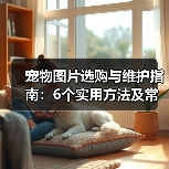 宠物图片选购与维护指南：6个实用方法及常见问题解析（图2）