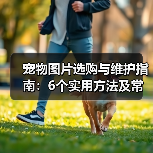 宠物图片选购与维护指南：6个实用方法及常见问题解析（图1）