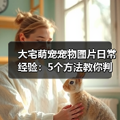 大宅萌宠宠物图片日常经验：5个方法教你判断需求与维护（图2）
