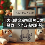 大宅萌宠宠物图片日常经验：5个方法教你判断需求与维护（图1）