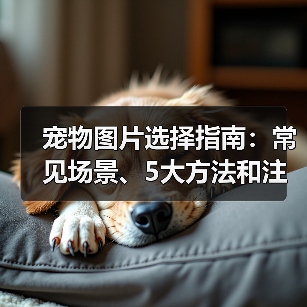 宠物图片选择指南：常见场景、5大方法和注意事项（图3）