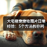 大宅萌宠宠物图片日常经验：5个方法教你判断需求与维护（图4）