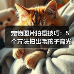 宠物图片拍摄技巧：5个方法拍出毛孩子高光时刻（图2）