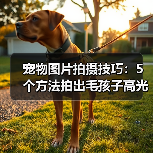宠物图片拍摄技巧：5个方法拍出毛孩子高光时刻（图4）