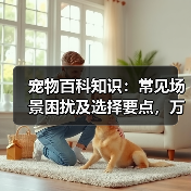 宠物百科知识：常见场景困扰及选择要点，万安云宠5大建议
