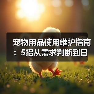 宠物用品使用维护指南：5招从需求判断到日常保养