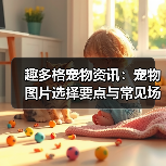 趣多格宠物资讯：宠物图片选择要点与常见场景指南（图1）