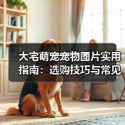 大宅萌宠宠物图片实用指南：选购技巧与常见问题解析（图1）