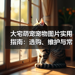 大宅萌宠宠物图片实用指南：选购、维护与常见问题解析（图2）