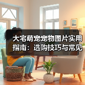 大宅萌宠宠物图片实用指南：选购技巧与常见问题解析（图2）