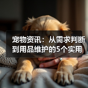 宠物资讯：从需求判断到用品维护的5个实用方法（图2）