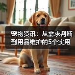 宠物资讯：从需求判断到用品维护的5个实用方法（图4）