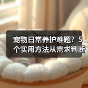 宠物日常养护难题？5个实用方法从需求判断到使用维护