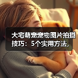 大宅萌宠宠物图片拍摄技巧：5个实用方法，拍出高级感（图1）