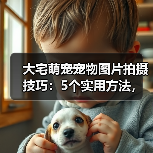 大宅萌宠宠物图片拍摄技巧：5个实用方法，拍出高级感（图2）