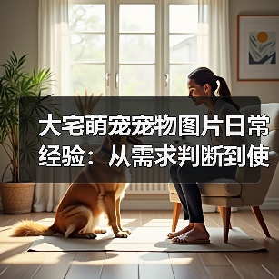 大宅萌宠宠物图片日常经验:从需求判断到使用维护全攻略(图2) 大宅萌宠宠物图片日常经验:从需求判断到使用维护全攻略(图2)