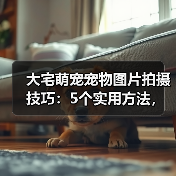 大宅萌宠宠物图片拍摄技巧：5个实用方法，拍出高级感（图4）