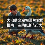 大宅萌宠宠物图片实用指南：选购维护与5大拍摄技巧解析（图3）