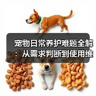 宠物日常养护难题全解:从需求判断到使用维护的实用经验(图3) 宠物日常养护难题全解:从需求判断到使用维护的实用经验(图3)