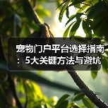 宠物门户平台选择指南:5大关键方法与避坑注意事项(图3) 宠物门户平台选择指南:5大关键方法与避坑注意事项(图3)