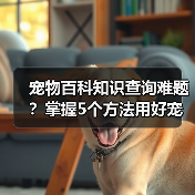 宠物百科知识查询难题？掌握5个方法用好宠物门户平台